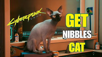 How to Get Nibbles the Cat || Cyberpunk 2077