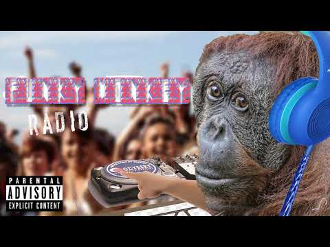 Funky Monkey Radio - YouTube