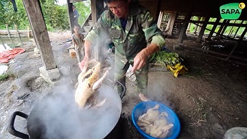SAPA TV | ẨM THỰC DÂN TỘC NÙNG Ở HÀ GIANG GIÚP BÀ CON LÀM CHUỒNG TRÂU