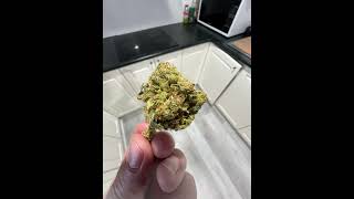 Amnesia Haze 26% THC Sativa Flower - PHYTOCA BRAND Amnesia Haze 26% THC Sativa Flower - PHYTOCA BRAND