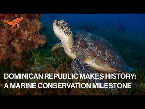 The Dominican Republic Declares New and Expanded Marine Protected Areas