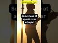 Construction Fact - 6 #construction #futuretech #podcast #construction #business