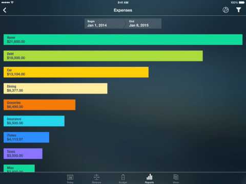 Money Pro - Overview (iPad)