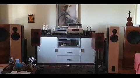 New Colibri labs Electrum Signature speakers