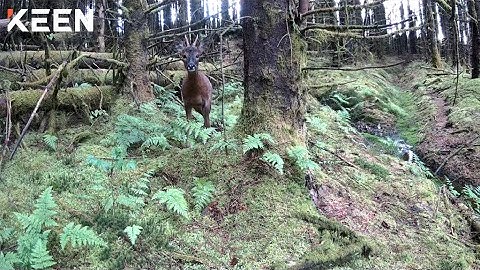 KEEN Explore: Listening to Who