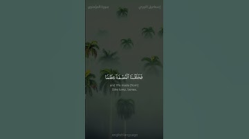 ولقد خلقنا الإنسان من سلالة من طين - سورة المؤمنون