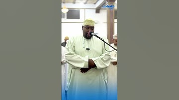 #القران_الكريم || القارئ أسعد الفارسي
