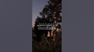 قالوا يا أبانا استغفر لنا ذنوبنا | سعيد الخطيب من سورة يوسف  #المصحف
