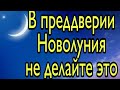 В преддверии Новолуния, не делайте это. | Тайна Жрицы |