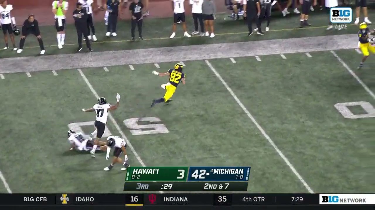 Upon Further Review 2022: Offense vs Hawaii | mgoblog