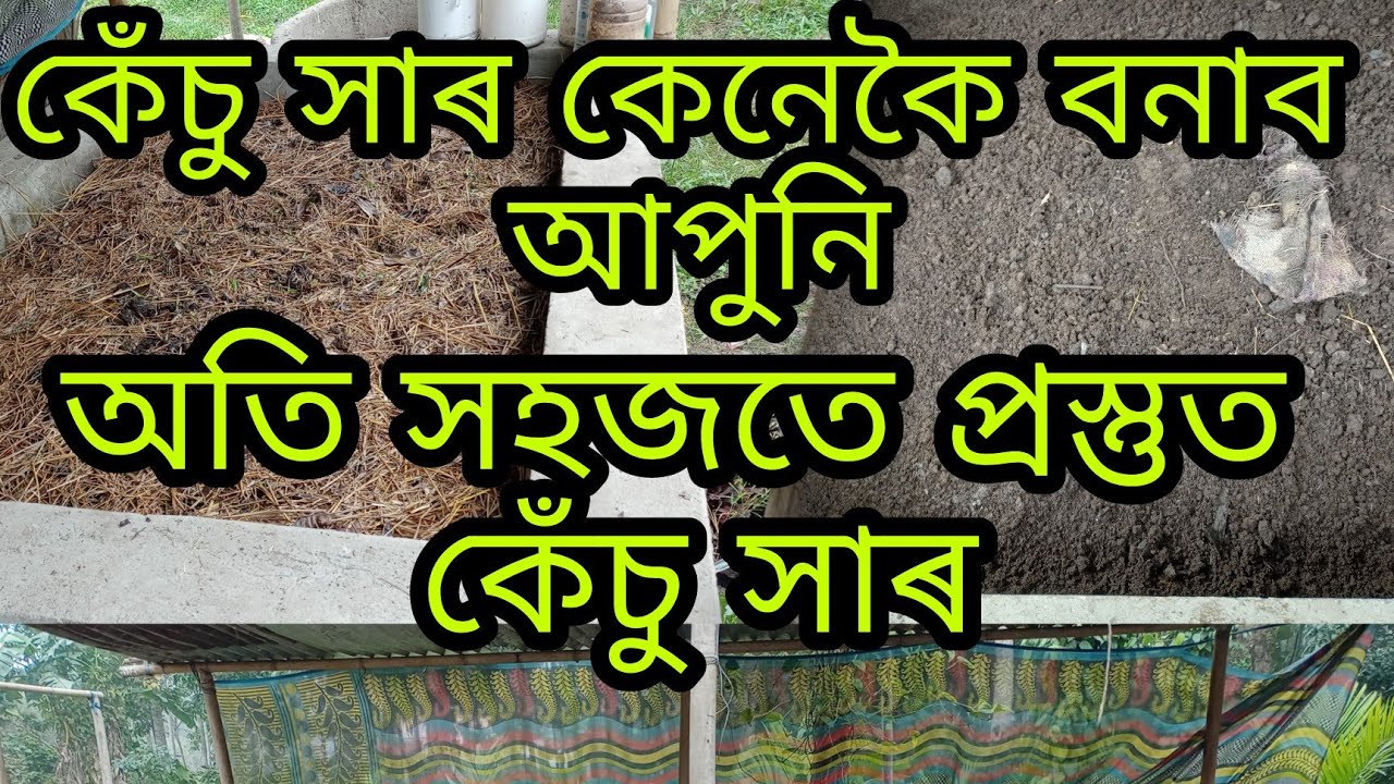 কেঁচু সাৰ এনেকৈ প্ৰস্তুত কৰিলে কম দিনতে পাব উন্নত মানদণ্ডৰ।Easy prosses make vermi compost