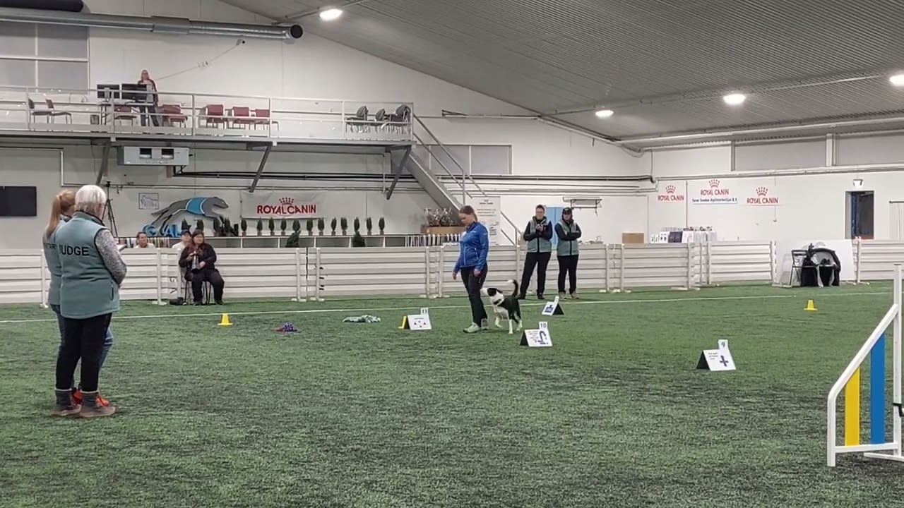 Rally obedience Nordic championship  2022 Vimma second round