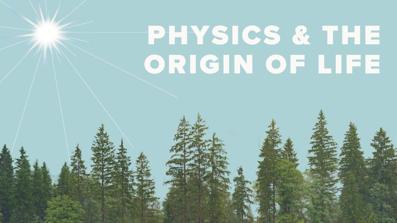Can Quantum Physics Explain The Origin Of Life Professor Jim Al Can quantum physics explain the origin of life professor jim al