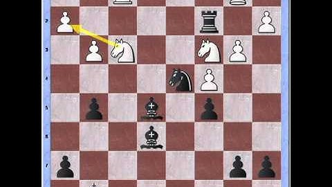 Bastiaan explaining zugzwang