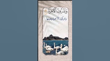 سورة القيامة من ٢٠-٢٣ الحذيفي #quran #اكسبلور #القرآن_الكريم #duet #تيك_توك