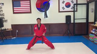 Basic Form Number 2 (Orange-Purple Belt)