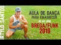 SUPER AULA de Dança | BREGA / FUNK Atualizado 2019 | Zumba e Ritmos Fitness | Irtylo Santos