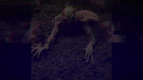 RESTRICTED/R&R-CRSNT/AN13-15-15-14