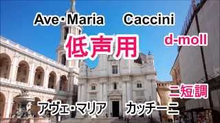 Ave・Maria　Caccini　d moll アヴェ・マリア　カッチーニ　二短調　低声用