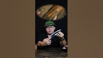 Dao thái lọc siêu phẩm sắc bén HTX DAO PHÚC SEN DL08