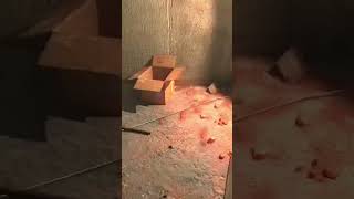 Blameless #czechgame #horrorgaming #walkingsimulator