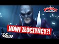  pomieszanie zoczycw  miraculous biedronka i czarny kot  disney channel polska