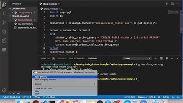 W4D4: Psycopg2 (1 of 1)