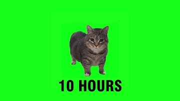 [10 HOURS] W&W - OIIA OIIA (Spinning Cat)