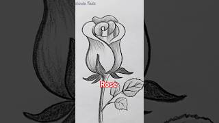 Amazing Rose Flower Making Using Pencil | Easy Flower Making #flowerflower#flowers#flowerart#shorts