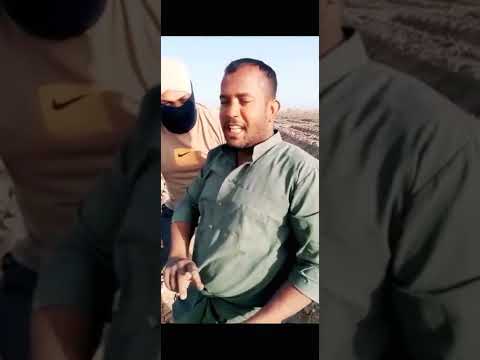 اجمل نكات عراقيه يوميات حياوي