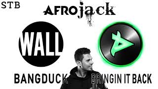 Afrojack - Bringin' It Back x Bangduck (STB Radio Mashup)