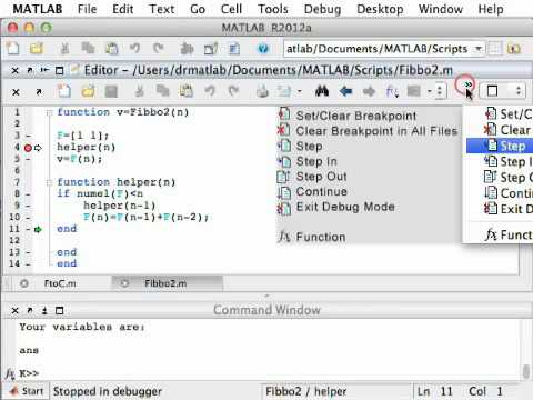 Lecture 6 Debugging Videos Library Introduction To MATLAB Programming ...