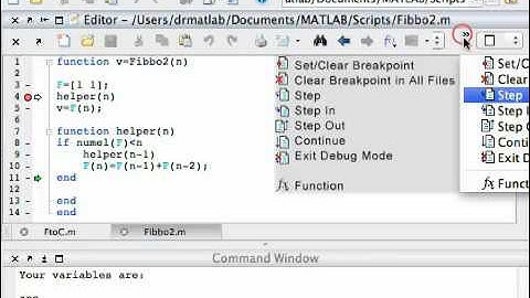 Lecture 6  Debugging   Videos   Library   Introduction To MATLAB Programming   Mathematics   MIT Ope