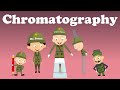 Unveiling Colors Through Paper Chromatography