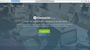 kak se tegli hamachi