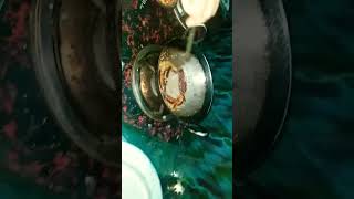 Gua Ghia Video Vlogs