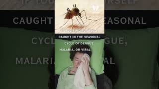 Giloy — Nature's Monsoon Shield | How It Fights Fever, Dengue & Low Platelets Naturally #giloy