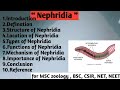 Nephridia | Structure | Location | Types | Function | Mechanism | Importance of nephridia