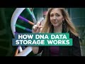 Is synthetic DNA the future of data storage? | Bridget Breaks It Down