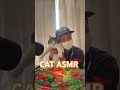 CAT ASMR