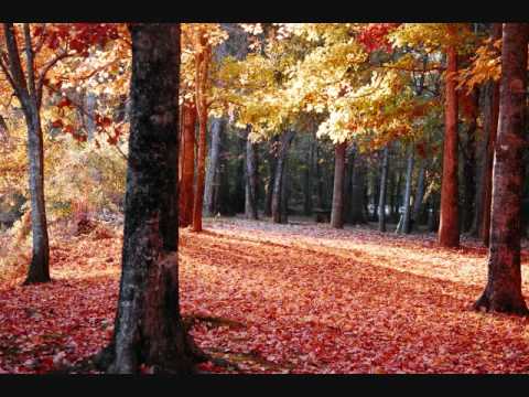 Brightblack — brightblack   better days