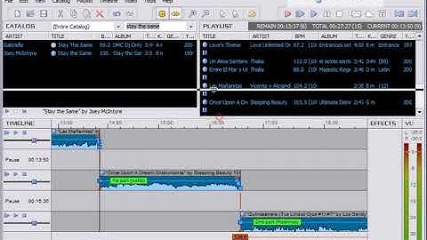MixMeister Pro: Adjustable Interface