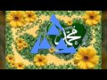 شيماء حبيبي يارسول الله