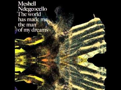 Meshell Ndegeocello - Elliptical