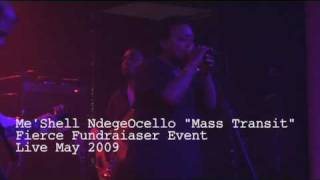 Me'Shell NdegeOcello "Mass Transit"