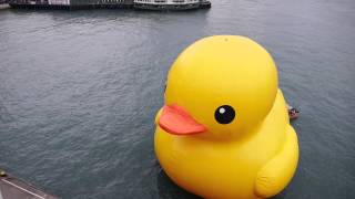 Yellow Rubber Duck in Hong Kong