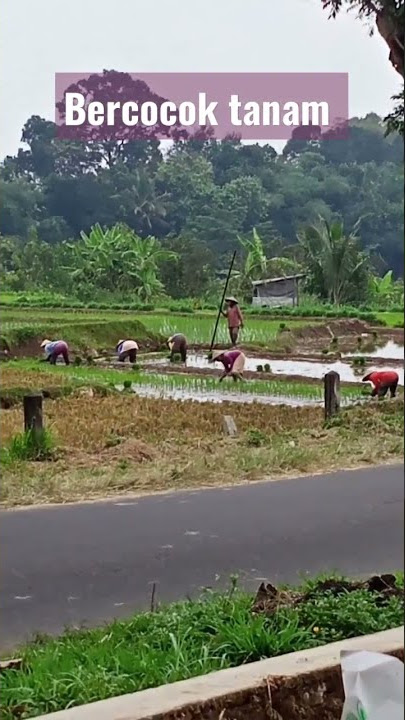 Apabl seseorg diantr kln mkn  mk jilatlah jr-jarinya krn ia tdk mgtahui bgn mnkah kbrkahan itu brada