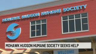 Mohawk Hudson Humane Society seeks help refilling pet food pantry