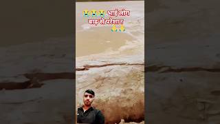 #panjab 😭😭#india #viralshort #viral #viralvideo #memes #bolywood #punjabi #wmk #flood #duet #presave