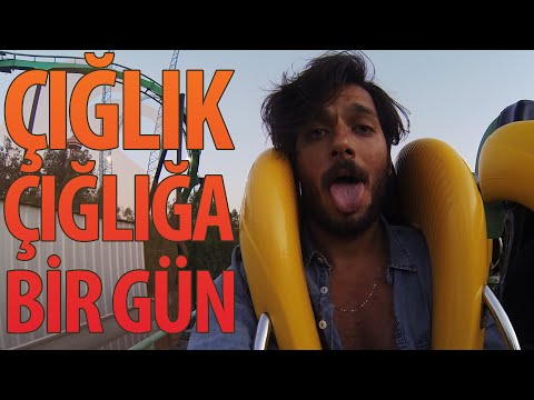 Çığlık Çığlığa Bir Gün - Hayrettin